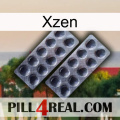 Xzen 31